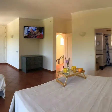 Sunshine Apartment *